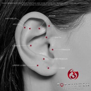 Forbidden Body Jewelry 16g 11mm Surgical Steel Tragus Earring, Helix Earring and Labret Piercing Stud, 3mm Ball Top