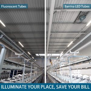 Barrina 4FT LED Ballast Bypass Bulbs, Dual-End Powered G13 24W, T8 LED Bulbs 4 Foot, 6000K Cool Daylight 3200LM, T8 T10 t12 LED Replacement for Fluorescent Tubes, Clear Cover, ETL Listed, 16 Packs