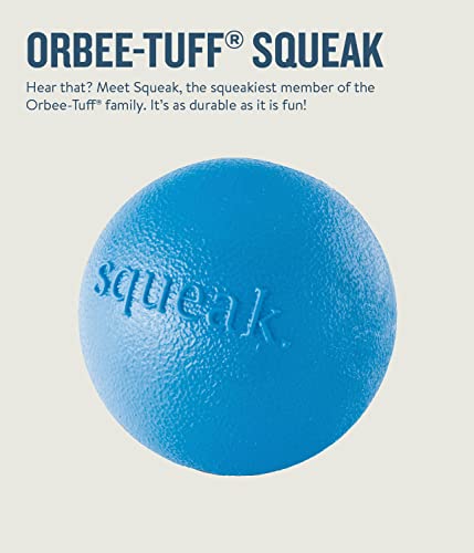 Outward Hound Orbee-Tuff Squeak Ball Blue Dog Fetch Toy