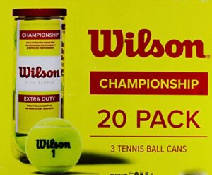 wilson championship tennis balls extra duty, 20 pack (60 balls)