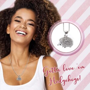 Lola Bella Gifts Crystal Hedgehog Fashion Necklace with Gift Box (Silver-tone)