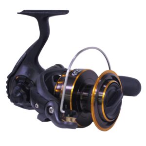 Daiwa BG5000 BG Saltwater Spinning Reel, 5000, 5.7: 1 Gear Ratio, 6+1 Bearings, 47.40" Retrieve Rate, 22 lb Max Drag,Black/Gold