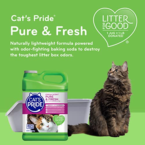 Cat's Pride Fresh Scent Pure & Fresh Multi-Cat Clumping Litter, 10-Pound Jug, Pack of 3 (C47510-C40)