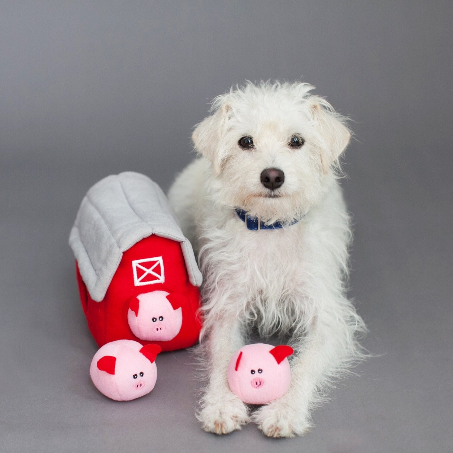 ZippyPaws - Farm Pals Burrow, Interactive Squeaky Hide and Seek Plush Dog Toy - Bubble Babiez Pig Barn