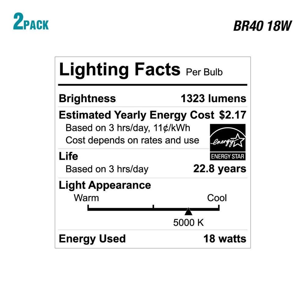 EcoSmart 90W Equivalent Daylight BR40 Dimmable LED Light Bulb (2-Pack)