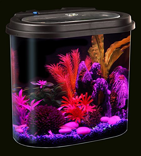 Koller Products AquaView 4.5-Gallon Aquarium Starter Kit with Full Filtration and LED Lighting - 7 Dazzling Colors to Select