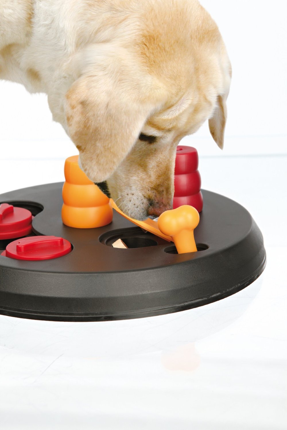 Strategie Spiel Flip Board for Dogs