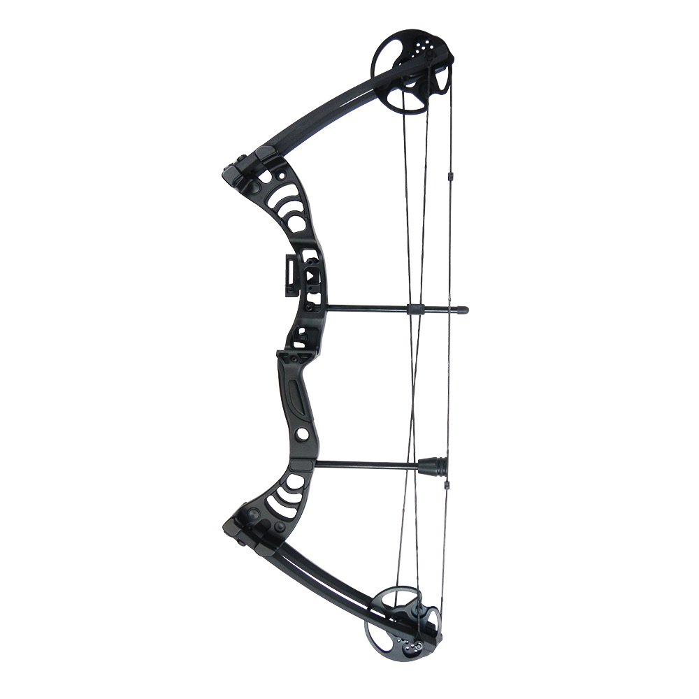 iGlow 30-55 lbs Black Archery Hunting Compound Bow 175 150 70 55 40 30 lb Crossbow