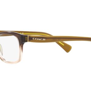 Coach HC6089 Prescription Eyewear Frames, Transparent Olive Gradient/Demo Lens, 51 mm