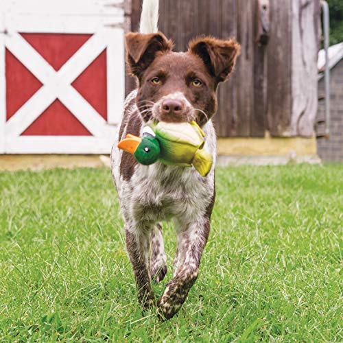 PetSafe Busy Buddy Latex Squeeze Meeze Raccoon, Fun Squeeze Dog Toy with Squeaker - Duck