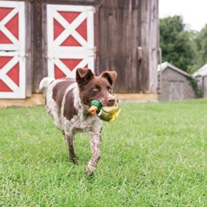 PetSafe Busy Buddy Latex Squeeze Meeze Raccoon, Fun Squeeze Dog Toy with Squeaker - Duck