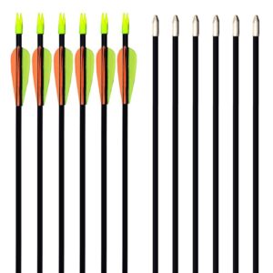 GPP 28" Fiberglass Archery Target Arrows - Practice Arrow or Youth Arrow for Recurve Bow- 12 Pack