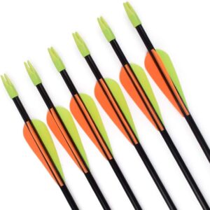 GPP 28" Fiberglass Archery Target Arrows - Practice Arrow or Youth Arrow for Recurve Bow- 12 Pack