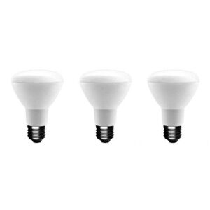 (3-pack) EcoSmart BR20 Soft White LED, Dimmable, 575-Lumen, 2700K, 8-Watt (50-Watt Equivalent) Light Bulb, E26 Medium Base