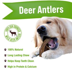 Buck Bone Organics Dog Chews, Deer Antlers for Dogs, Long Lasting Dog Bones for Aggressive Chewers, All Natural, No Preservatives, Wild Shed in The USA, Med/Large