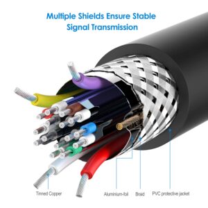 Rankie Mini HDMI to HDMI Cable, High Speed Supports Ethernet 3D and Audio Return (10 Feet)