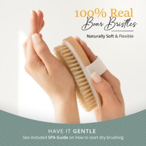 Premium Dry Brushing Body Brush Set by Belula- Natural Boar Bristle Body Brush, Exfoliating Face Brush & One Pair Bath & Shower Gloves. Free Bag & How To – Great Gift For A Glowing Skin & Healthy Body