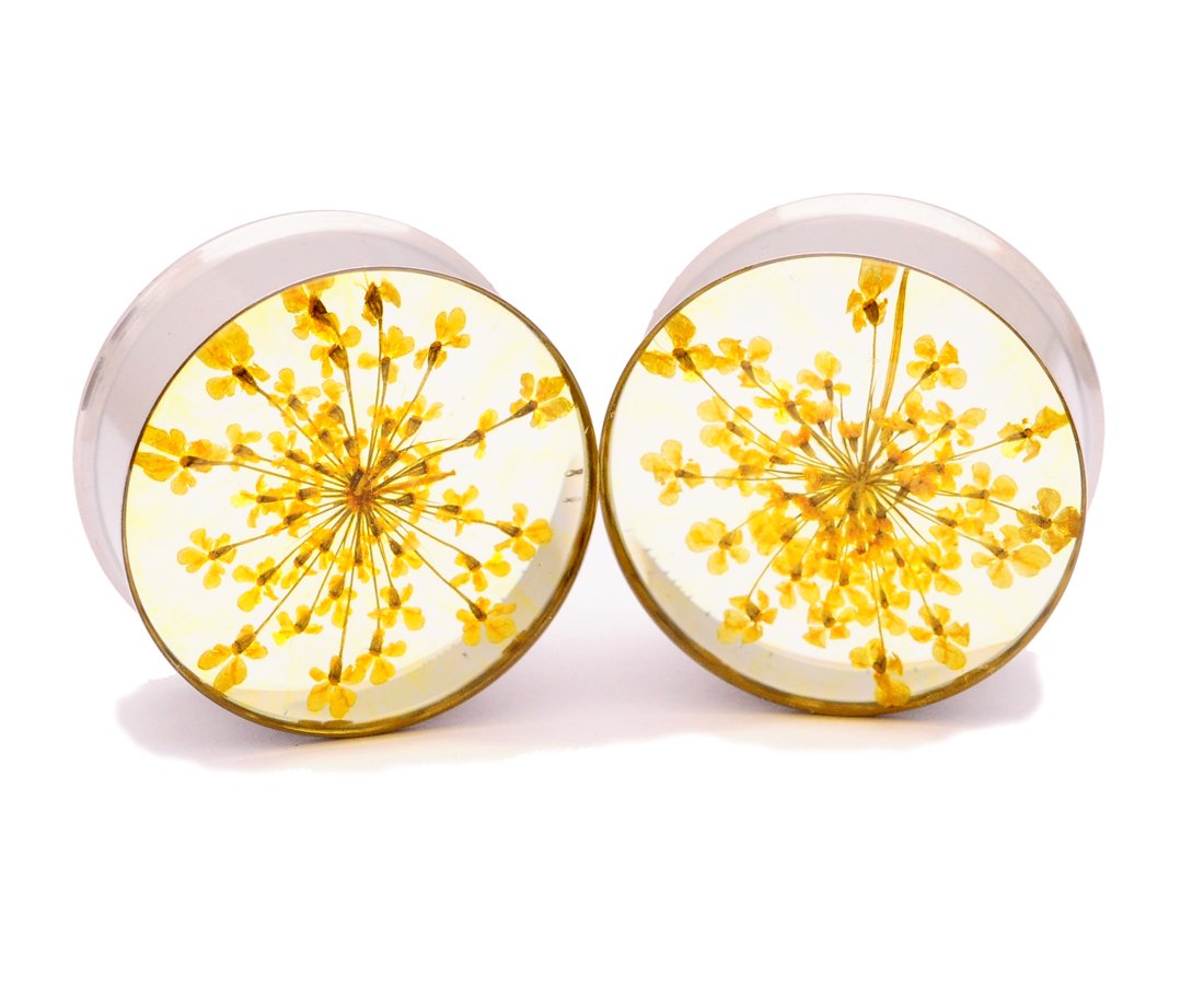 Mystic Metals Body Jewelry Embedded Real Yellow Queen Anne's Lace Flower Plugs - Sold As a Pair (9/16" (14mm))