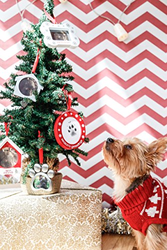 Pearhead Christmas Pawprints Double-Sided Holiday Photo Ornament, Season's Grrreetings Dog or Cat DIY Pawprint Keepsake, Pet Picture Christmas Tree Ornament, With Included Clean-Touch Ink Pad