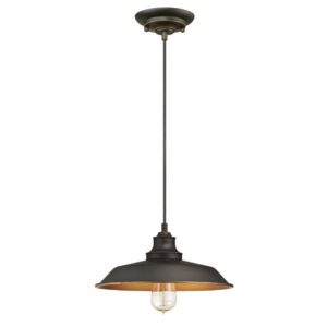 Westinghouse 6344700 Iron HIL Pendant, One Light, Oil Rubbed Bronze/Bronze