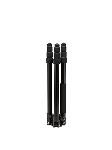 Benro FGP28A SystemGo Plus Tripod Only, Travel, Aluminum with Monopod, Black