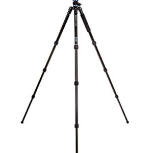 Benro FGP28A SystemGo Plus Tripod Only, Travel, Aluminum with Monopod, Black