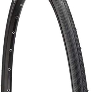 Schwalbe G-One Speed Tire - 700 x 30, Tubeless, Folding, Black, Evolution Line, MicroSkin, V-Guard