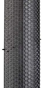 Schwalbe G-One Speed Tire - 700 x 30, Tubeless, Folding, Black, Evolution Line, MicroSkin, V-Guard