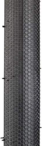 Schwalbe G-One Speed Tire - 700 x 30, Tubeless, Folding, Black, Evolution Line, MicroSkin, V-Guard