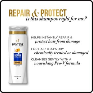 Pantene Argan Oil Shampoo 25.4 OZ and Sulfate Free Conditioner 24 OZ for Damaged Hair, Repair and Protect, Bundle Pack