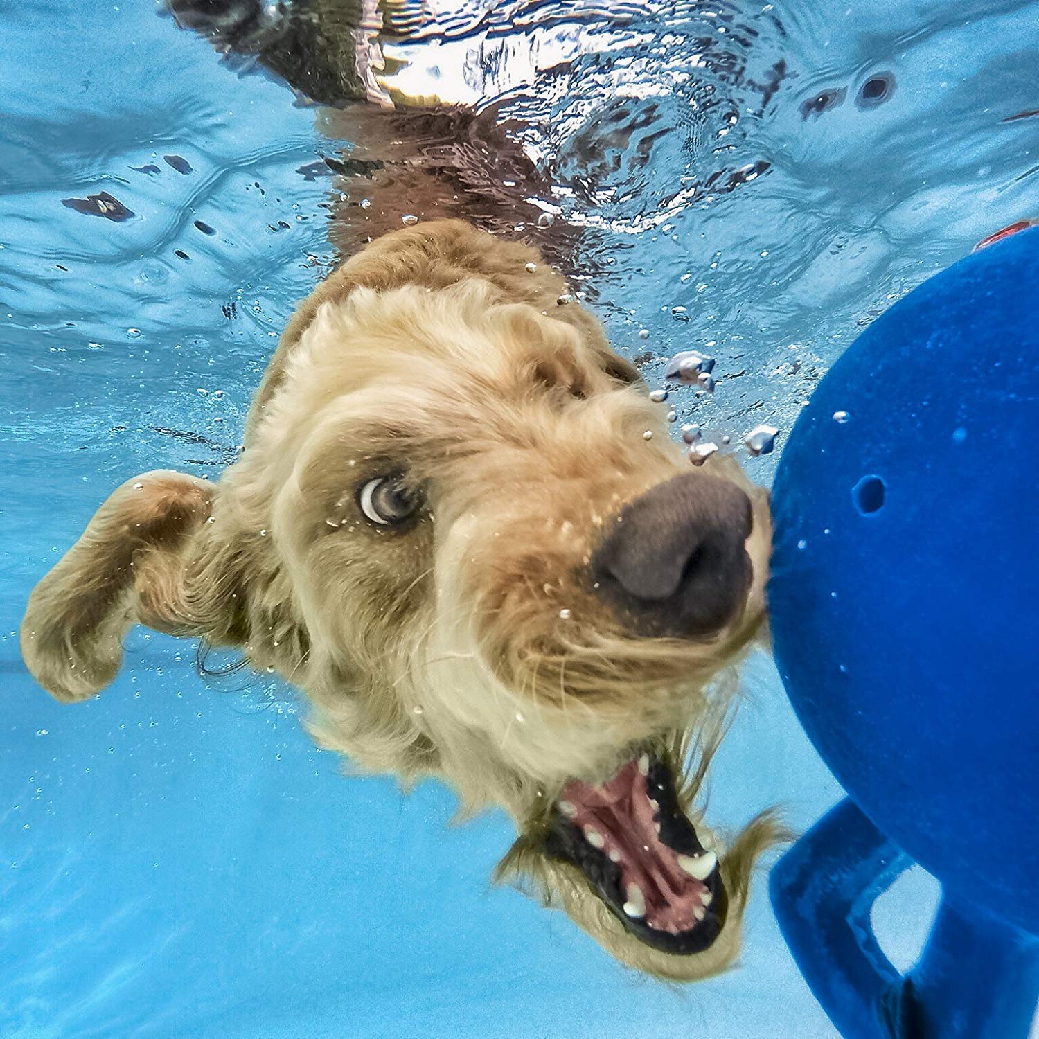 GoPro HERO+ Action Camera (Built-in Wi-Fi and Bluetooth Enabled, 1080p Movie, 8MP Photo, Waterproof to 131’)