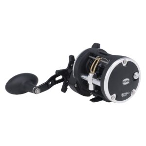 penn rival level wind conventional nearshore/offshore fishing reel, ht-100 star drag, max of 15lb | 6.8kg, forged and machined aluminum spool, 20, multi