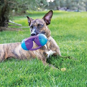 KONG Jumbler Disc Dog Toy, Medium/Large, (Model: TMD2), Large Breeds