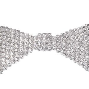 Spinningdaisy Bowtie Ribbon Choker for Women and Some Playful Men