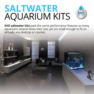 Fluval Evo XII Saltwater Aquarium Kit, 13.5 Gal. – Saltwater Fish Tank with Reef-Capable LED, Efficient 3-Stage Filtration and Seamlessly Integrated Hardware