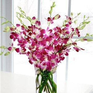 Premium Cut Purple Orchids (20 stems with Vase) (Support Small Business)