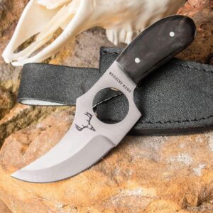 Deer Skinner Knife and Leather Belt Sheath | AUS-6 Stainless Steel Curved Blade | Full-Tang | Thumb Hole | Genuine Buffalo Horn Handle Scales | Makes Great Addition to Hunting Gear | Length 5 3/4”