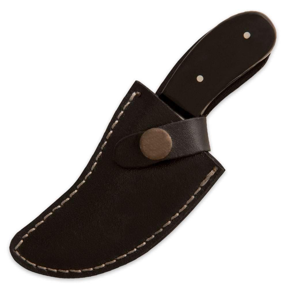 Deer Skinner Knife and Leather Belt Sheath | AUS-6 Stainless Steel Curved Blade | Full-Tang | Thumb Hole | Genuine Buffalo Horn Handle Scales | Makes Great Addition to Hunting Gear | Length 5 3/4”