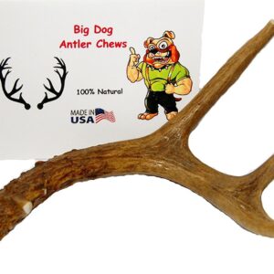 Small Whole Deer Antler Dog Chew, For Small to Medium Size Dogs and Puppies - 6 to 11 Inches Long - Big Dog Antler Chews Brand