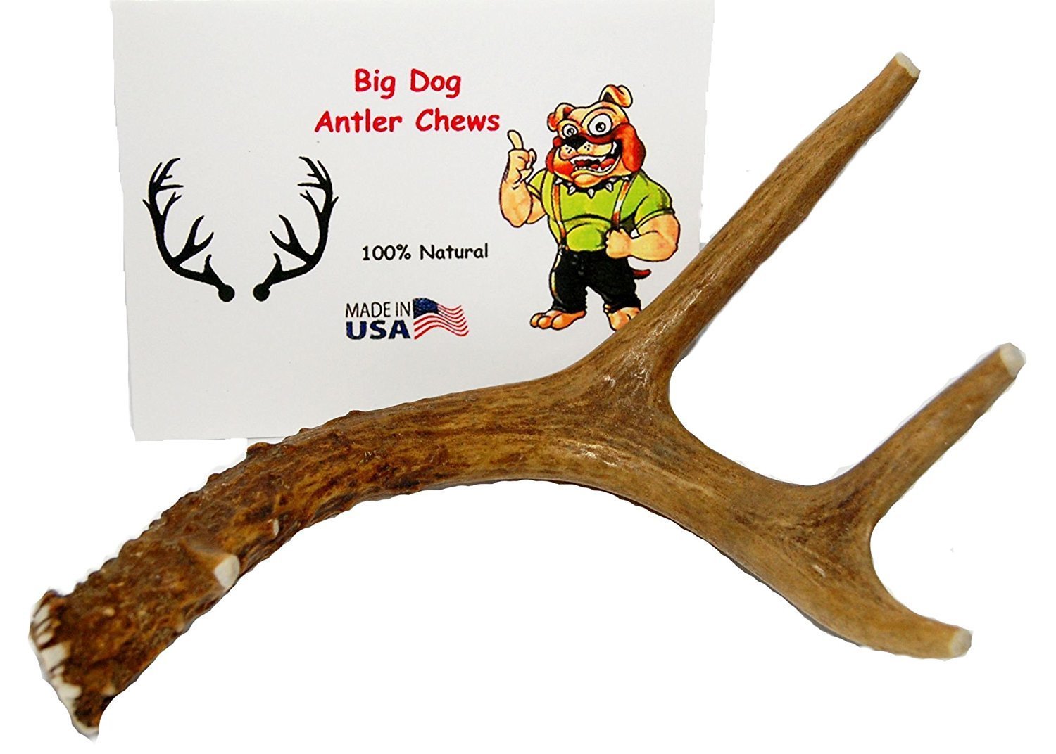 Small Whole Deer Antler Dog Chew, For Small to Medium Size Dogs and Puppies - 6 to 11 Inches Long - Big Dog Antler Chews Brand