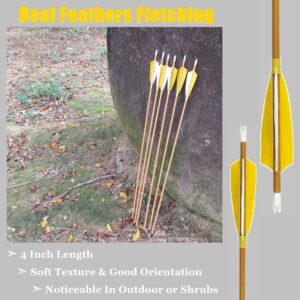 Carbon Arrows 500 Spine with Real Feather Fletching and Field Points for Archery Target Shooting (6 Pack)