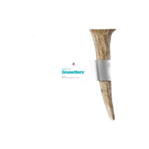 Pet Parents Gnawtlers® - Premium, Naturally Shed, All Natural Elk Antler Dog Chew, Specially Selected from The Heartland Regions (Medium)