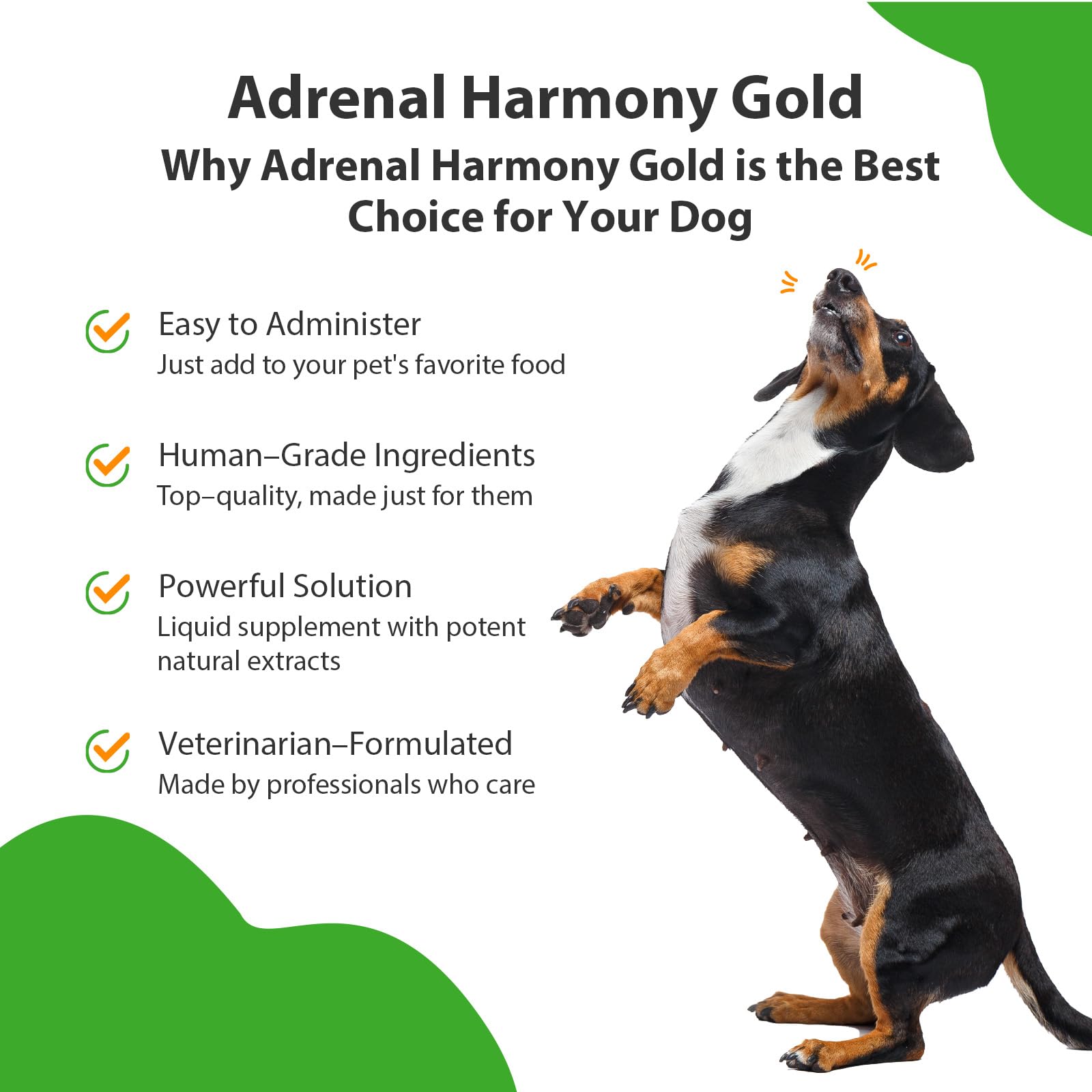 Pet Wellbeing Adrenal Harmony Gold - Veterinarian Formulated - Dog Cushing's, Adrenal Health, Cortisol Balance, Antioxidant Support - Natural Herbal Supplement for Dogs 4 fl oz (118 ml)