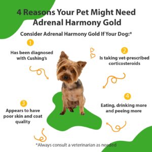 Pet Wellbeing Adrenal Harmony Gold - Veterinarian Formulated - Dog Cushing's, Adrenal Health, Cortisol Balance, Antioxidant Support - Natural Herbal Supplement for Dogs 4 fl oz (118 ml)