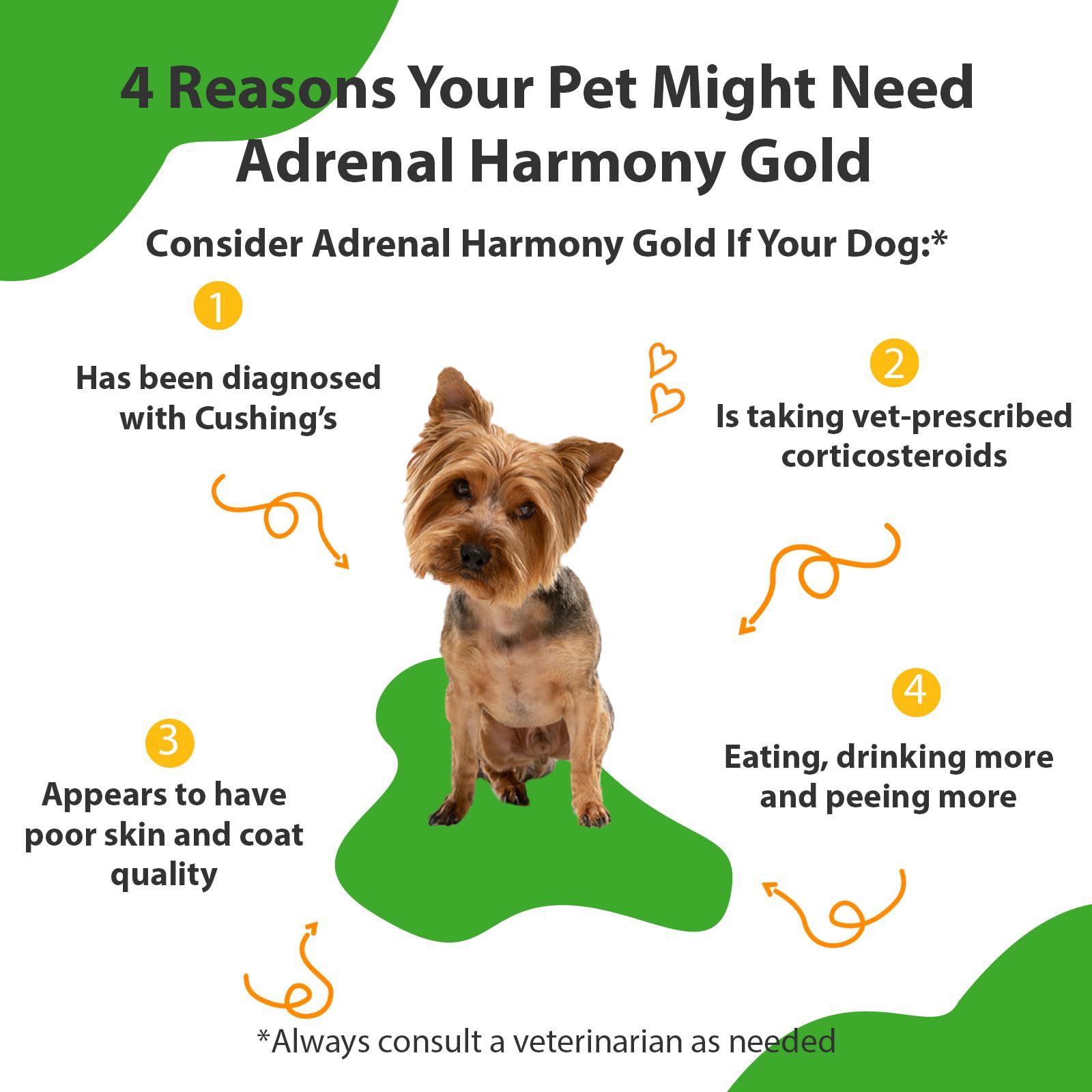 Pet Wellbeing Adrenal Harmony Gold - Veterinarian Formulated - Dog Cushing's, Adrenal Health, Cortisol Balance, Antioxidant Support - Natural Herbal Supplement for Dogs 4 fl oz (118 ml)