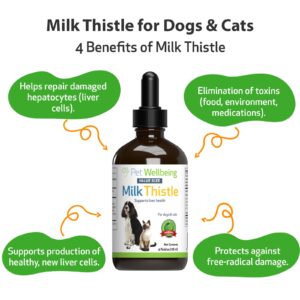 Pet Wellbeing Milk Thistle for Dogs & Cats - Supports Liver Health, Protects Liver - Glycerin-Based Natural Herbal Supplement - 4 oz (118 ml)