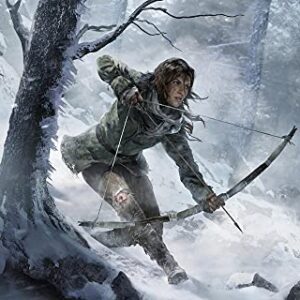 Rise of The Tomb Raider: 20 Year Celebration (PS4)