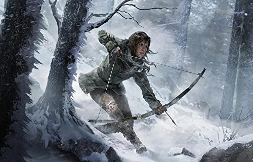 Rise of The Tomb Raider: 20 Year Celebration (PS4)