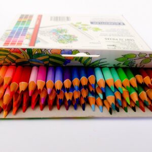 Staedtler Coloring Pencil Wood Colored Pencil (1270SET1JB NA)