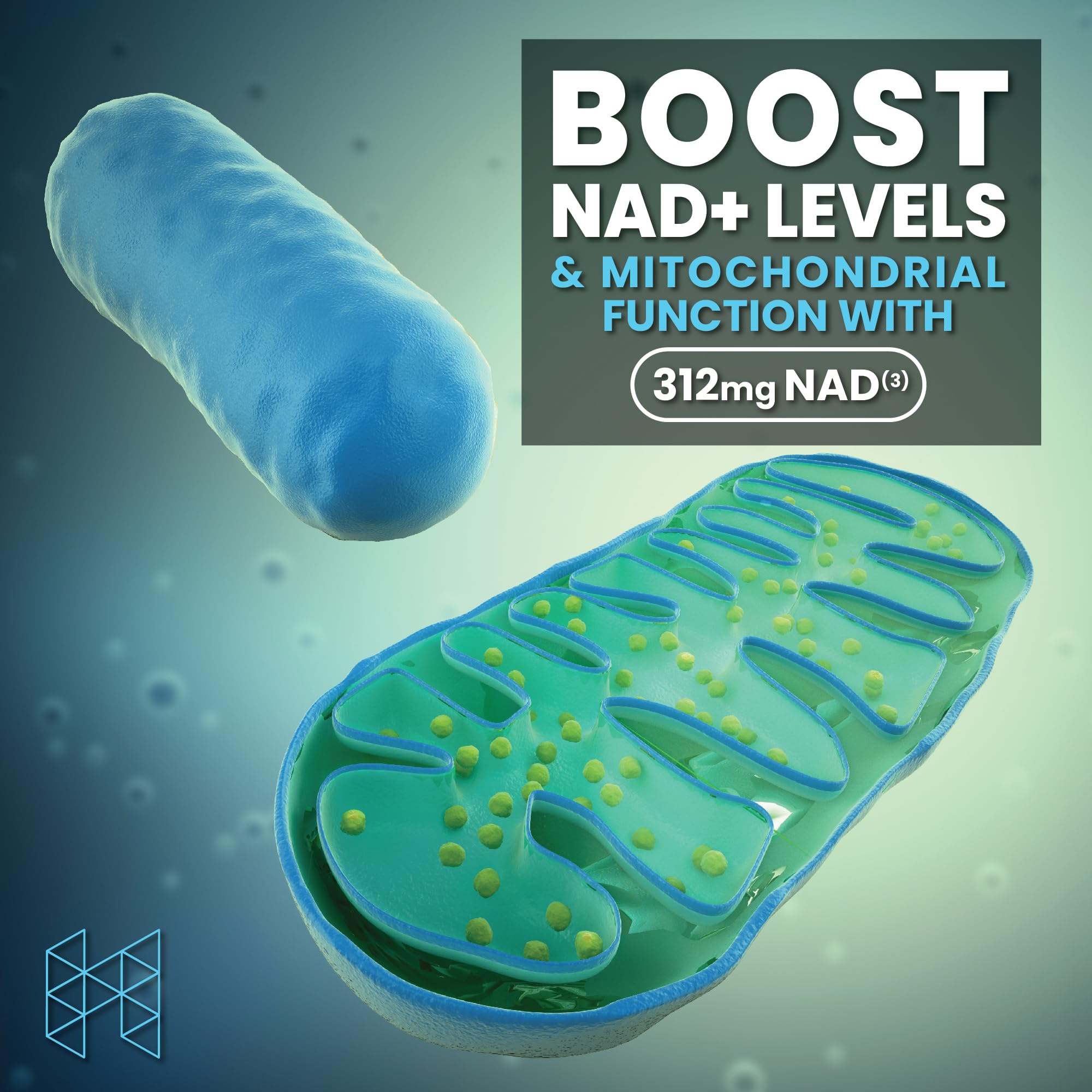 HPN Supplements NAD3 NAD+ Booster | Size 2 Month Supply | Clinically Proven & Independently Tested - Metabolic Repair | 312 mg/ Serving - 120 Capsules